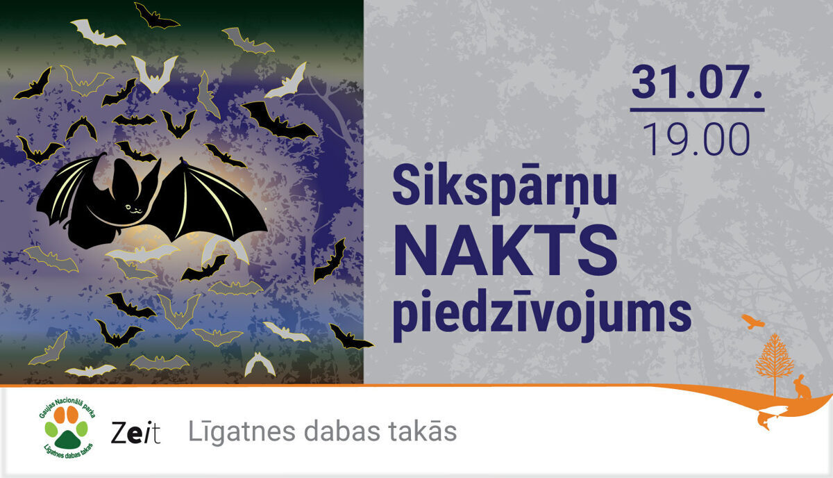 Sikspārņu nakts piedzīvojums